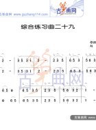 综合练习曲29