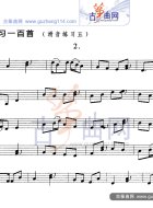 滑音练习五（五线谱）