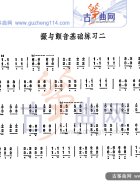 撮与颤音练习二