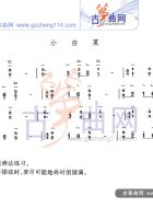 小白菜