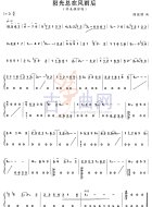 阳光总在风雨后