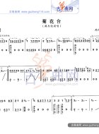 菊花台