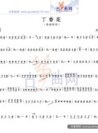 丁香花