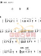 小白菜