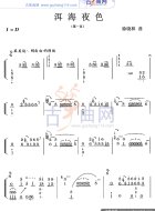 洱海夜色
