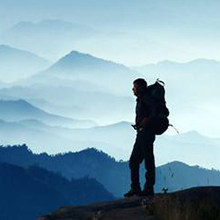Traveller
