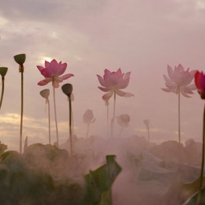 泓·橙之恋D调伴奏