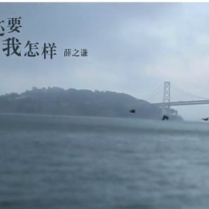 你还要我怎样（薛之谦演唱歌曲）