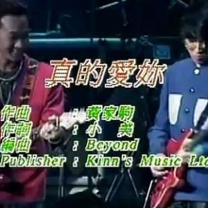真的爱你（beyond演唱歌曲）
