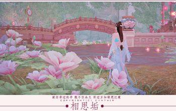 相思垢