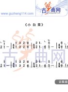 小白菜