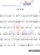穿花蜂